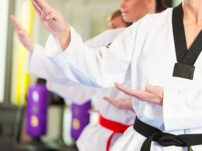 Photo for the news post: Karate Workshop (Free)