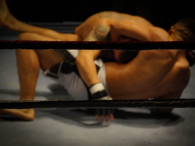 Photo for the news post: Mixed Martial Arts (MMA)